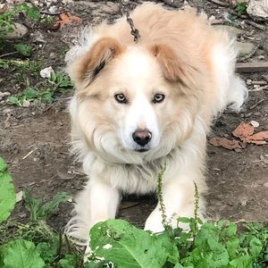 Meet your Posher, Stella